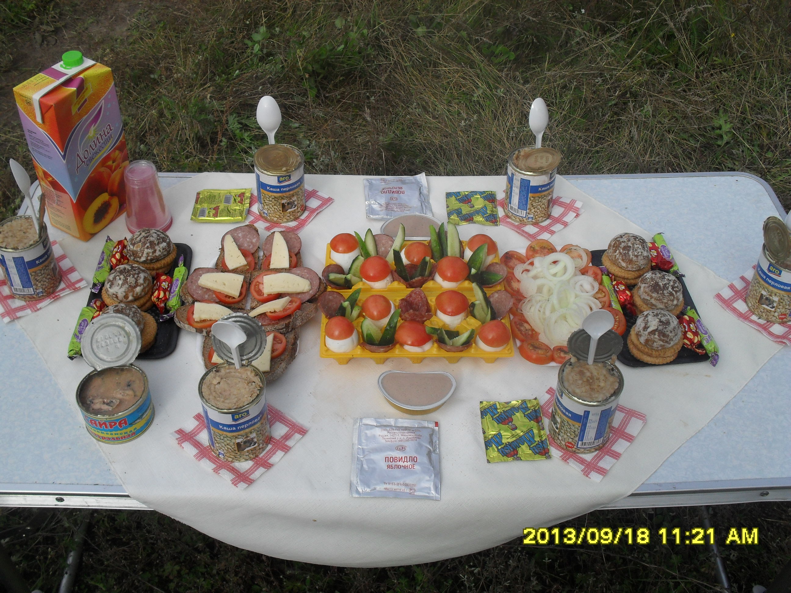 турслёт2013